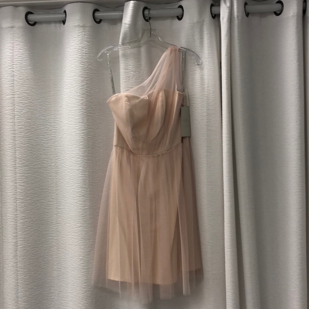 Blush tool dress